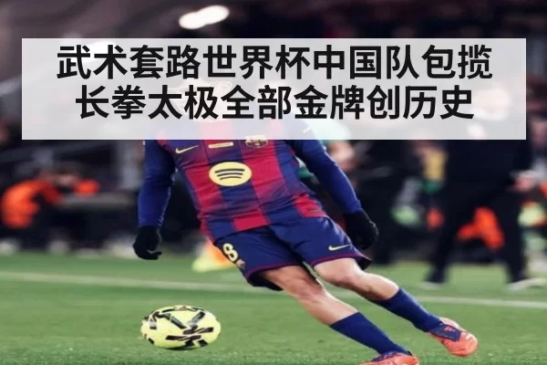 武术套路世界杯中国队包揽长拳太极全部金牌创历史