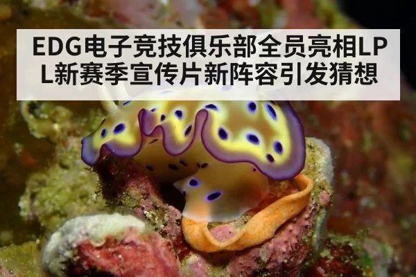 EDG电子竞技俱乐部全员亮相LPL新赛季宣传片新阵容引发猜想
