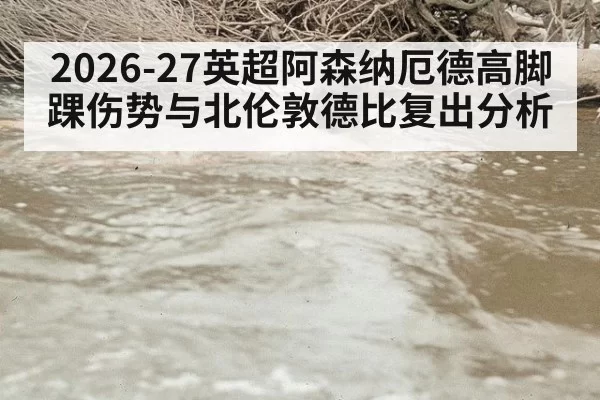 2026-27英超阿森纳厄德高脚踝伤势与北伦敦德比复出分析